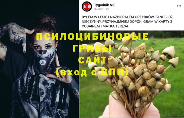 дурь Заводоуковск