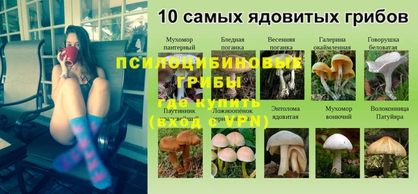 дурь Заводоуковск