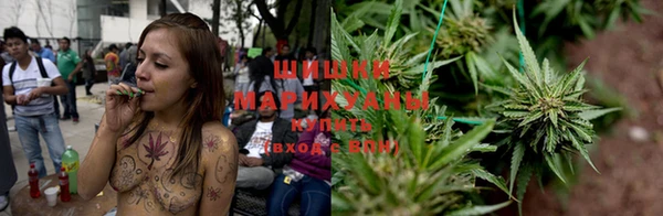 дурь Заводоуковск