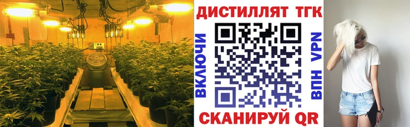 ТГК вейп с тгк  Купить где  Каменка 