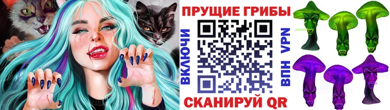 Галлюциногенные грибы Cubensis  Купить закладки  Каменка 